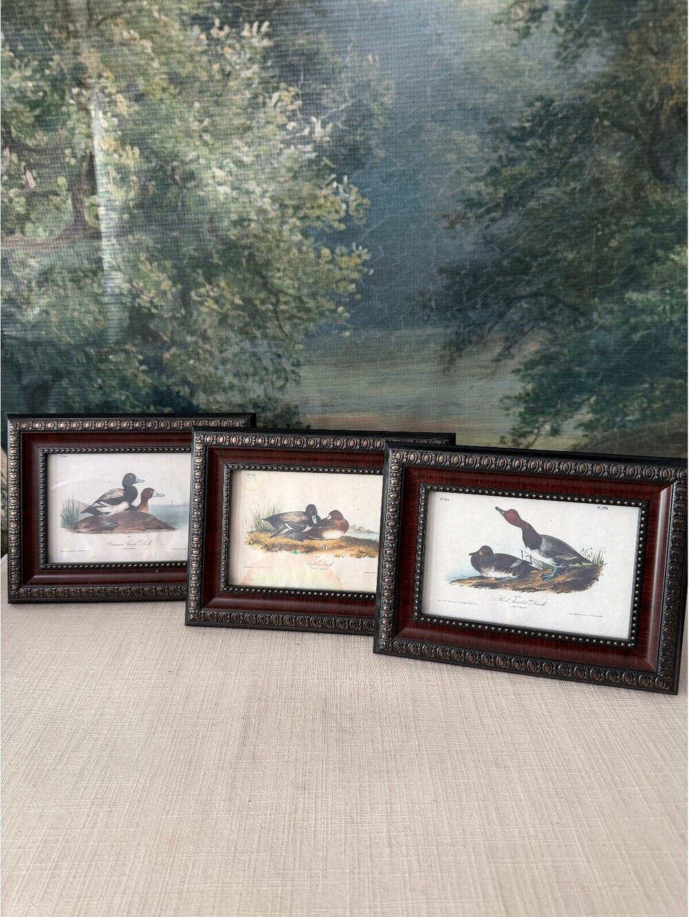 Set of 3 framed duck bird prints